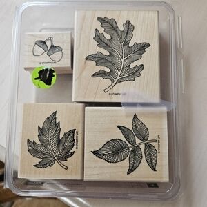 Stampin Up! Autumn Splendor, set of 4 rubber stamps
